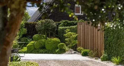 assainissement Dinard-3