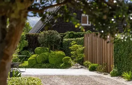 assainissement Saint-Malo-3